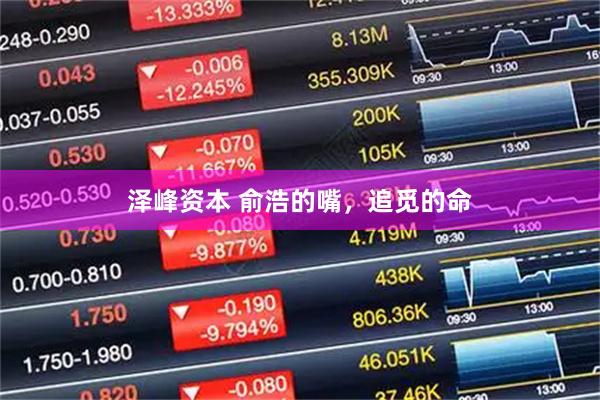 泽峰资本 俞浩的嘴，追觅的命
