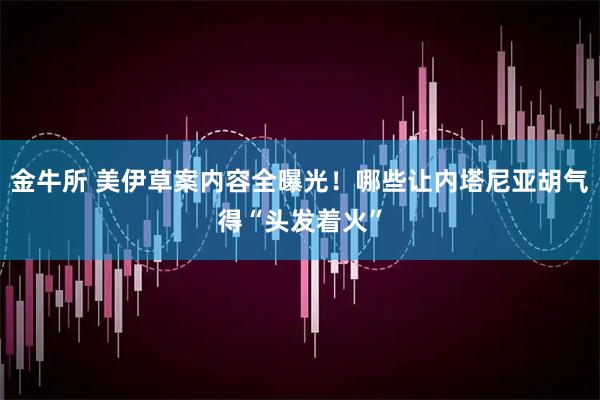 金牛所 美伊草案内容全曝光！哪些让内塔尼亚胡气得“头发着火”